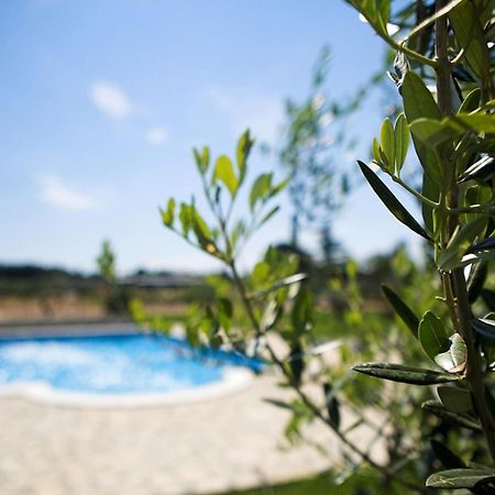 Marceta - Apartments & Rooms With Swimming Pool Fazana Bagian luar foto